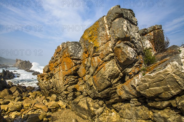 Tsitsikamma National Park