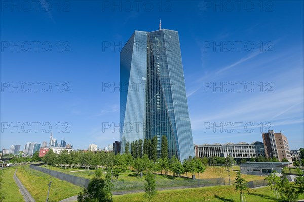 European Central Bank ECB
