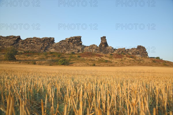 View of Devil's Wall with stubble field in Weddersleben near Thale