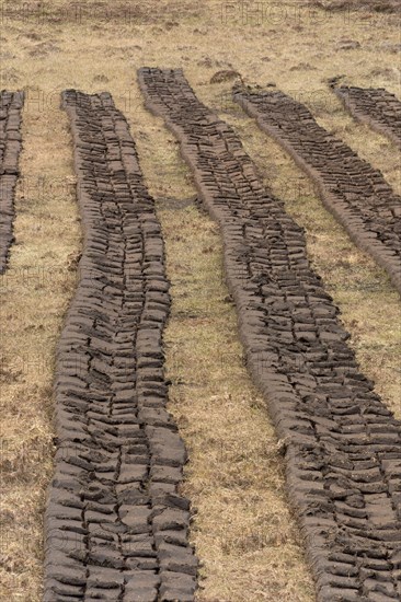 Peat cutting