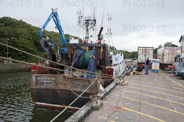 Bonaventure LH111 fishing trawler unloading in port