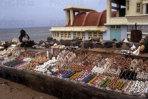 Seller of shells