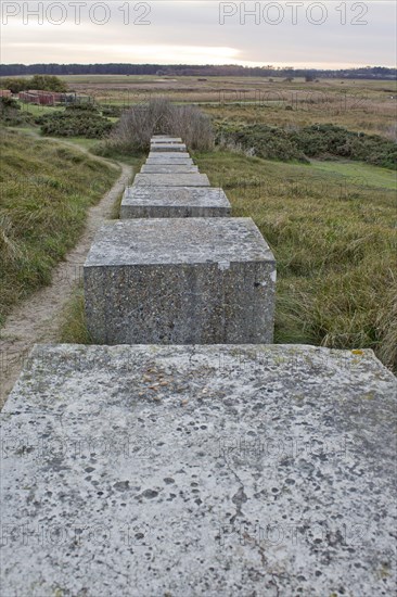 View of World War Two concrete tank traps on coastal dunes