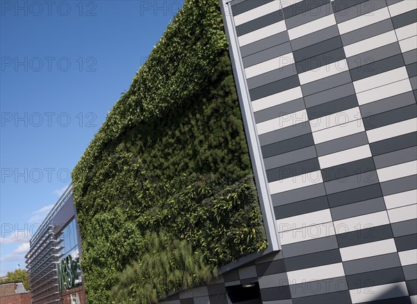 'Living Wall System'