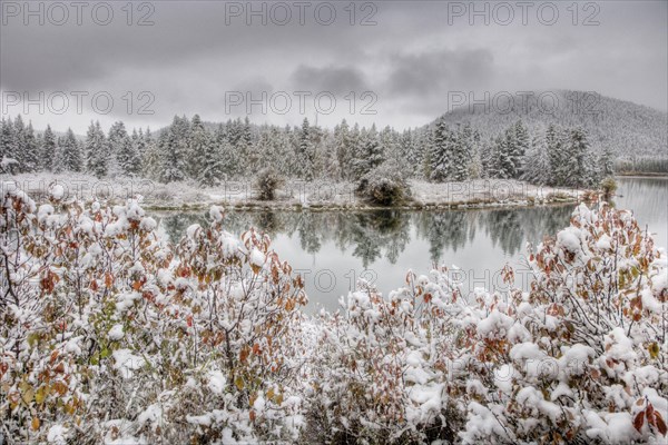 View of mountain range and forested river valley with trees in autumn colours and snow