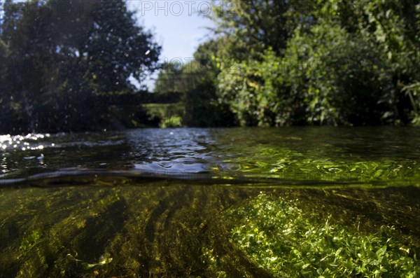 View of river from above and below surface of water