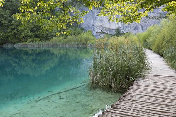 Wooden footbridge on the shore of the lake