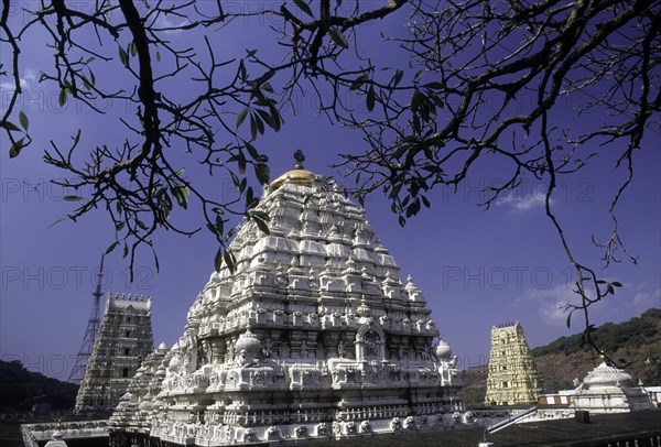 Varaha Narasimha temple