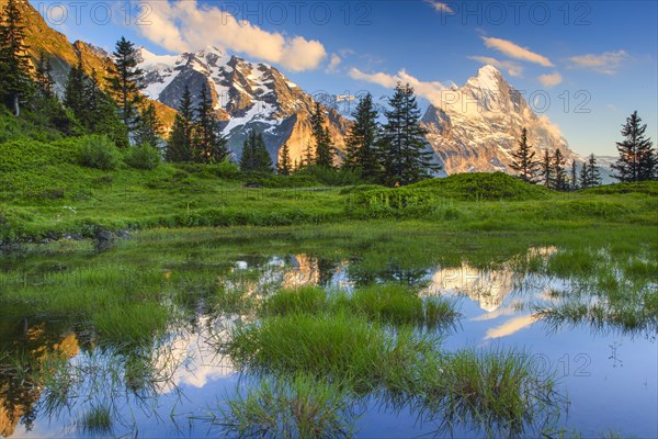 Aussicht von Grosserscheidegg mit Blick auf Eiger und Moench bei Sonnenuntergang