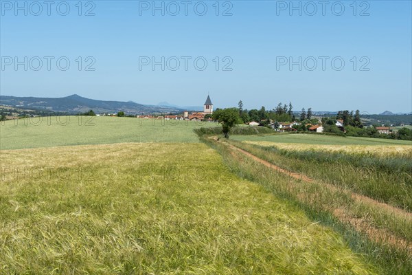 Bournoncle Saint-Pierre village near Brioude city. Haute Loire departement. Auvergne Rhone Alpes. France