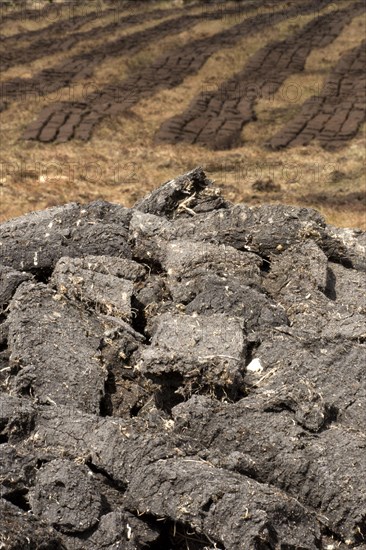 Peat cutting