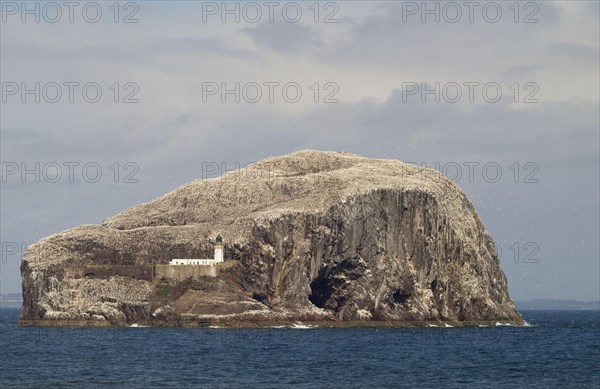 View of volcanic Plug Island and the sea