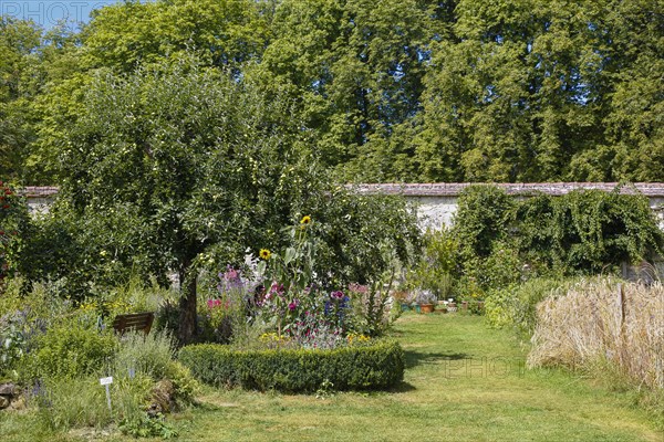 Kraeutergarten des ehemaligen Frauenklosters Inzigkofen