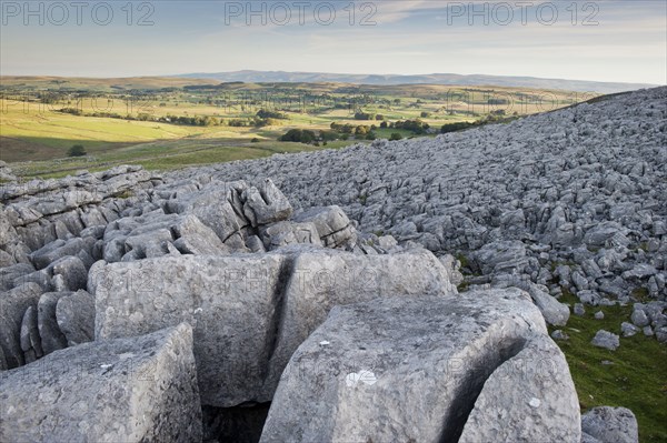 View of limestone pavement at sunrise