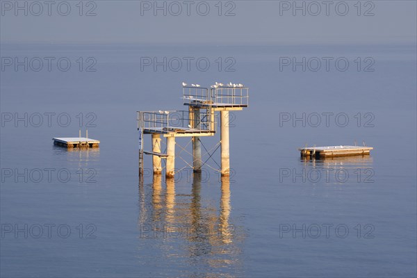 Morgenstimmung ueber dem Bodensee mit Blick zum Sprungturm und den Flossen der Freibadanlage Horn inmitten des Sees