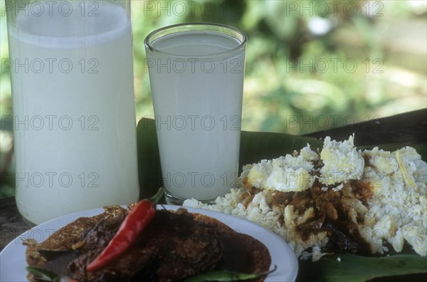 Toddy or kallu