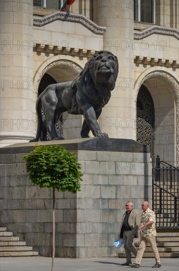 Lion sculpture