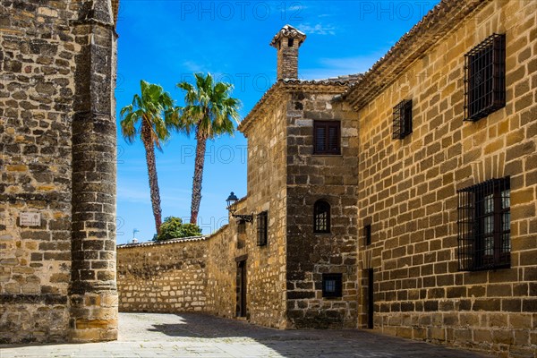 Alley at the Cathedral