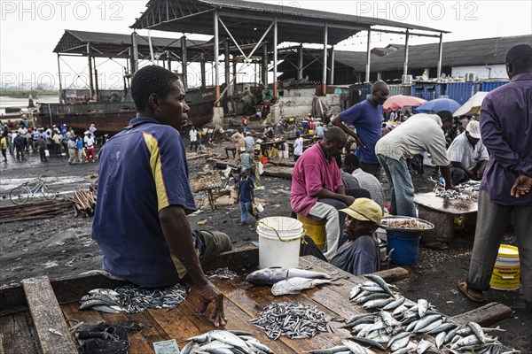 Fischhaendler am Fischereihafen