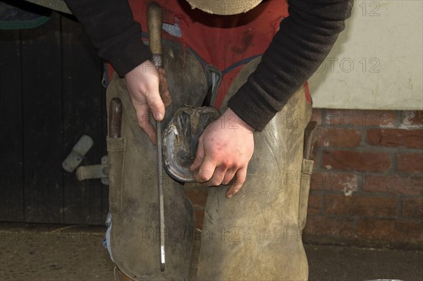 Farrier rasps the side of the horse's hoof