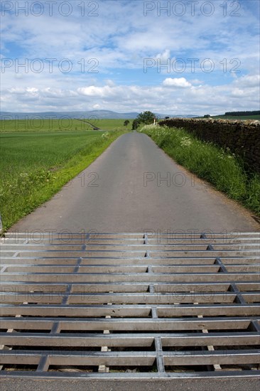 Cattle grid on narrow country road