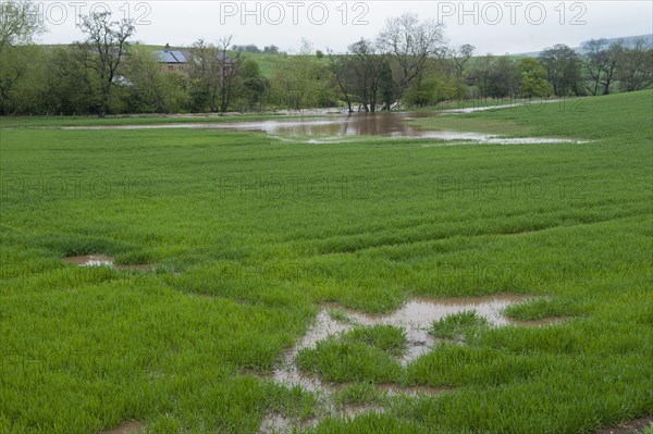 Irrigated grassland on farm after spring floods