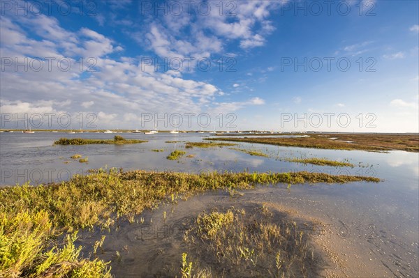 View of estuary saltmarsh habitat and boats with rising tide