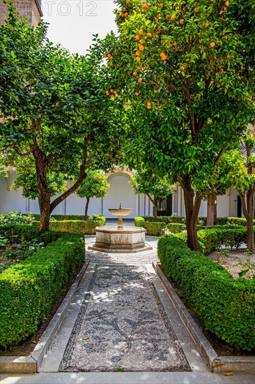 Orange Courtyard