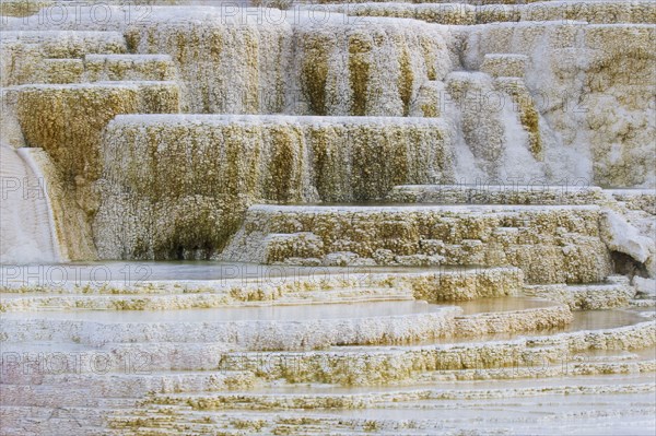 Travertine Terraces at Hotspring