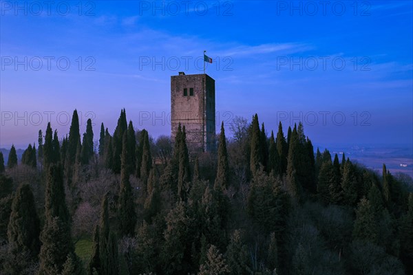 Castle tower