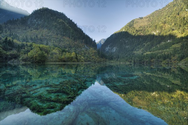 View of a shallow multicoloured lake with submerged tree trunks