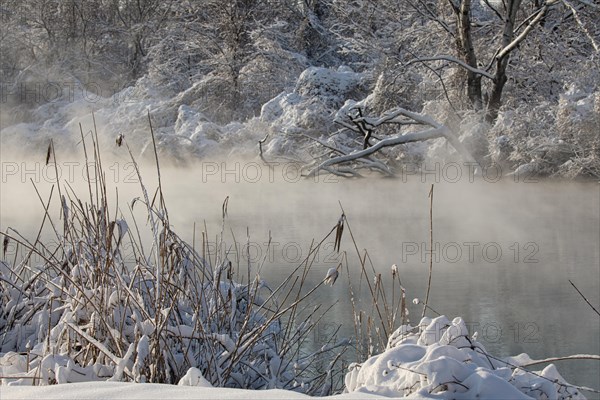 Winter landscape