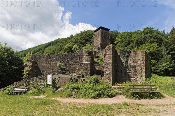 Hinterburg castle ruins