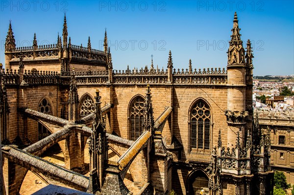 View of the Cathedral from the Giralda