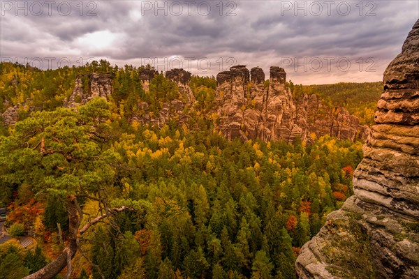 Basteiblick to the rock formation Grosse Gans