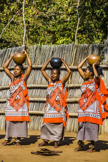 Insights into the lives of the Swazis