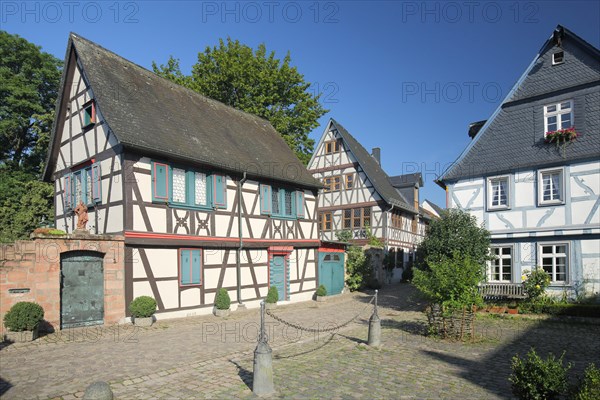 Half-timbered houses in Burgstrasse in Eltville