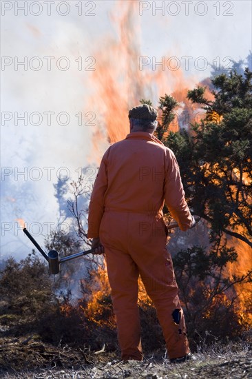 Controlled burning of heather vegetation