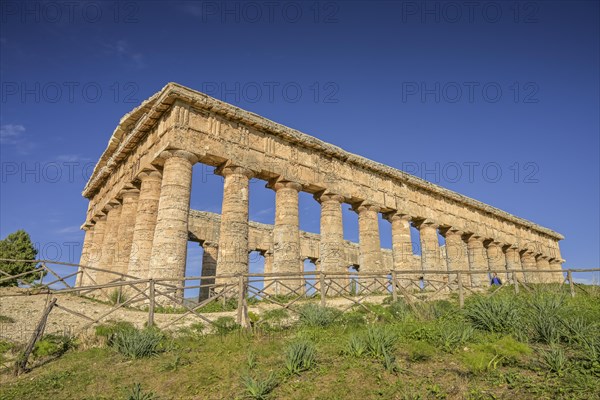 Temple of Hera