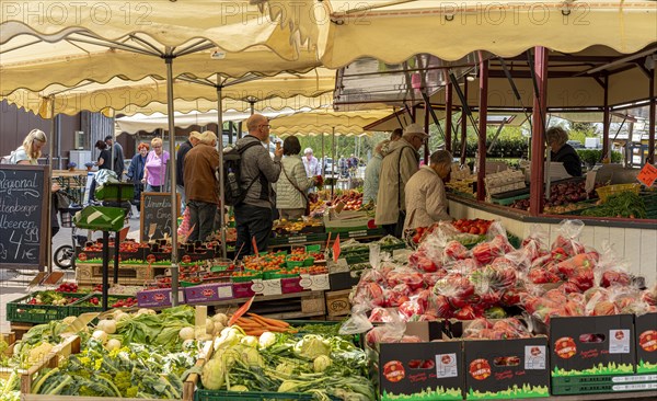 Market stalls and sales booths on the grounds of the asparagus farm in Klaistow