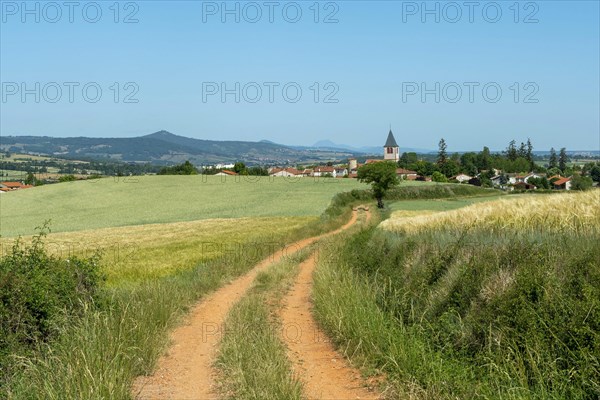 Bournoncle Saint-Pierre village near Brioude city. Haute Loire departement. Auvergne Rhone Alpes. France