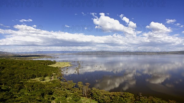 View of soda lake habitat