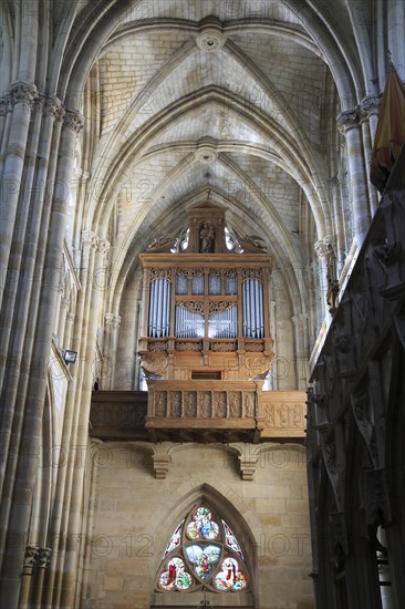 Gothic Basilica of Notre Dame