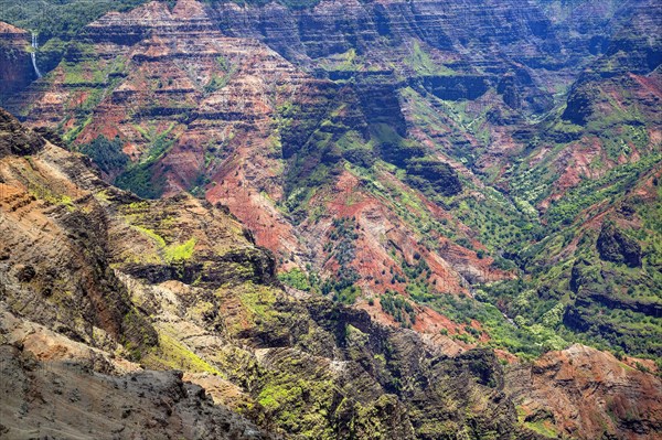 Waimea Canyon in Kauai