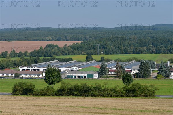 Stables