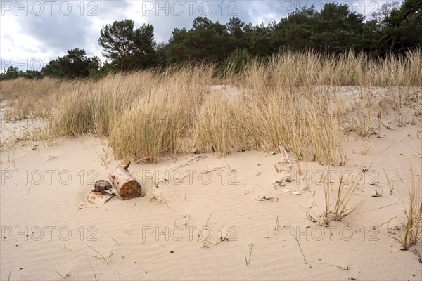 Strand und Ostsee bei Baabe