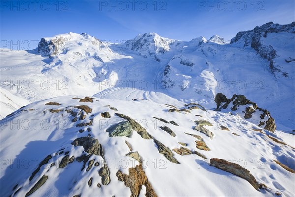 Monte Rosa