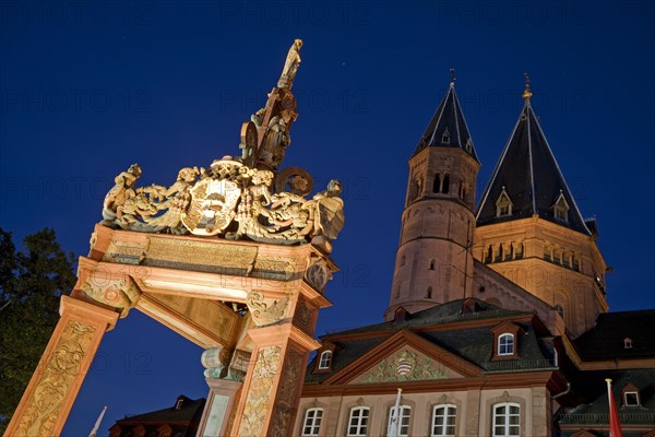 Illuminated market fountain and the high St. Martin's Cathedral in the evening