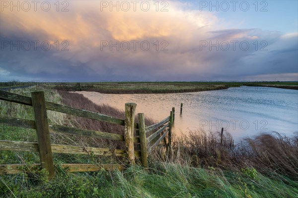 View of cattle fence and water-filled ditch on coastal grazing marsh habitat