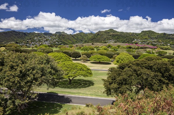 View over the park